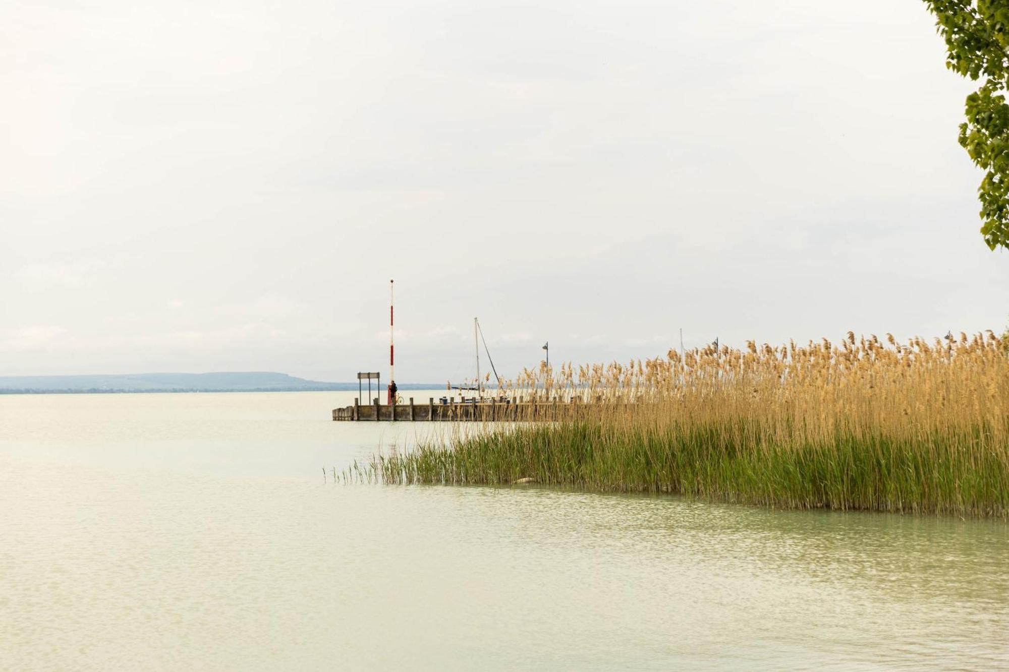 Gesztenye Nyaralopark Balatonudvari Eksteriør bilde